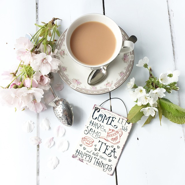 【めざましテレビ】Francfranc 食品販売開始はいつから？店舗まで調査！